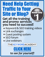 SEO training